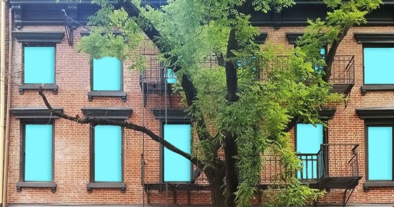 紐約大學(xué)