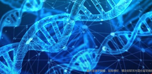 美國生物專業(yè).png
