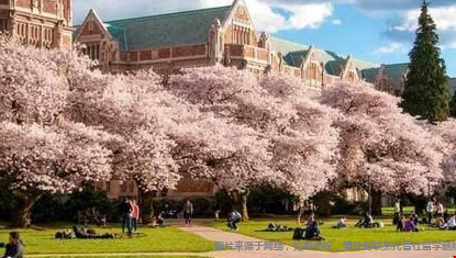 華盛頓大學.png