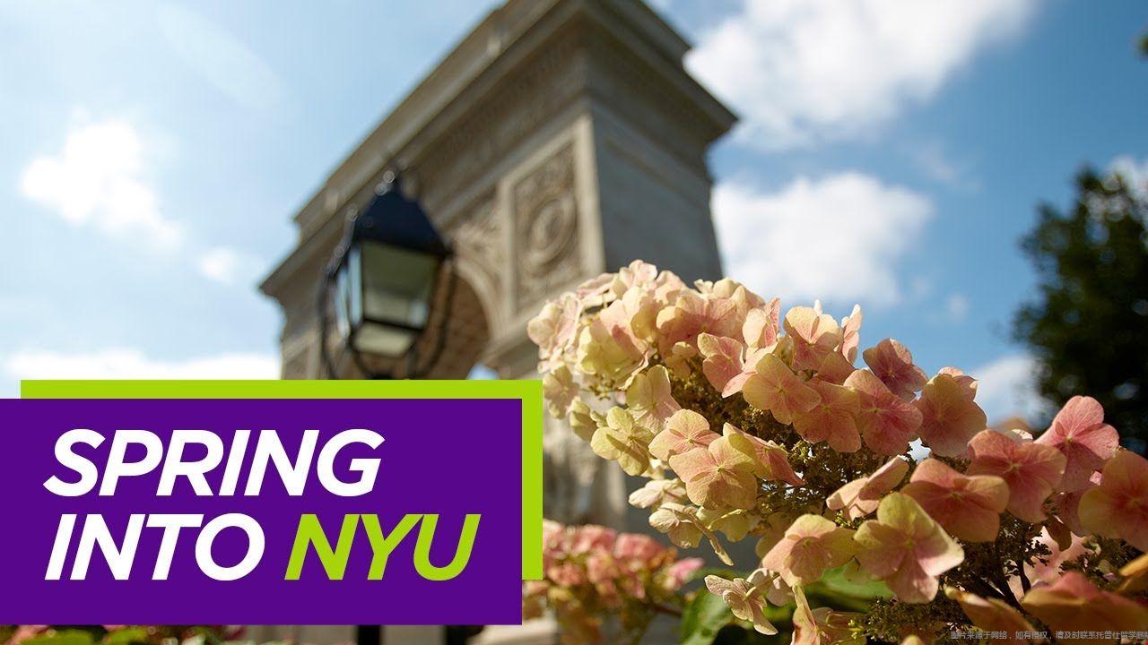 紐約大學(xué)春季入學(xué)項(xiàng)目.jpg