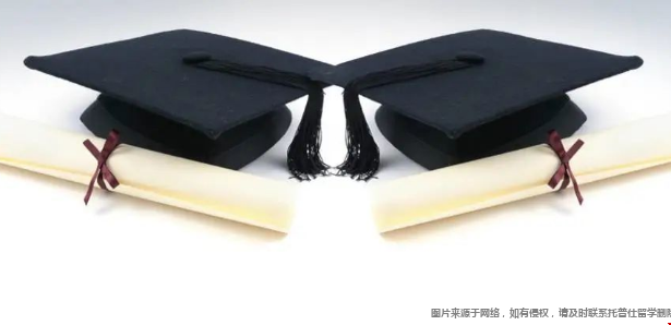 雙專業(yè)2.png