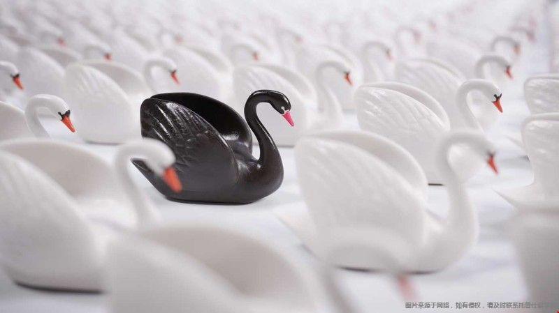 芝加哥大學(xué)英語(yǔ)水平要求高嗎