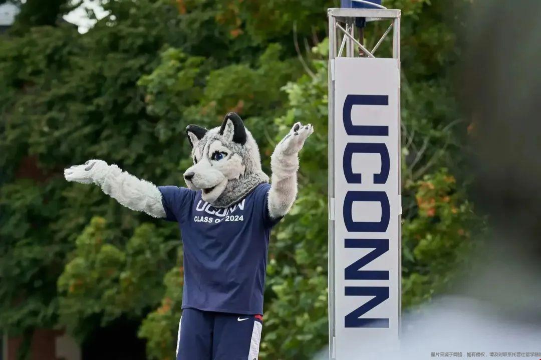 uconn大學(xué).jpg