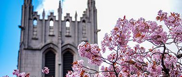 華盛頓大學ee碩士申請條件