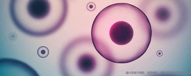 加州伯克利分校生物相關(guān)專業(yè)