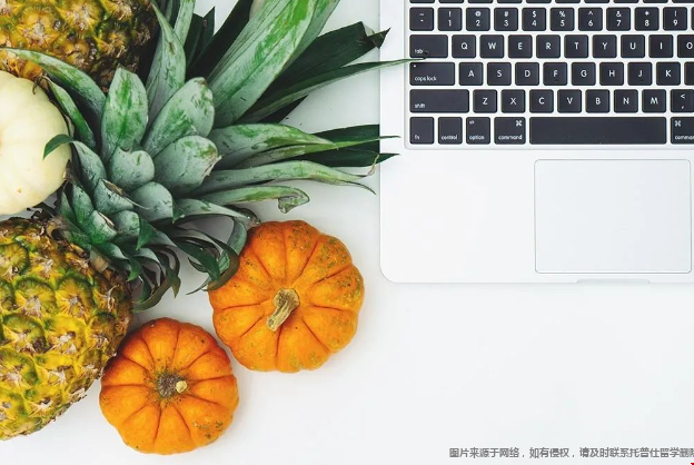 美國營養(yǎng)學(xué)專業(yè)分支方向