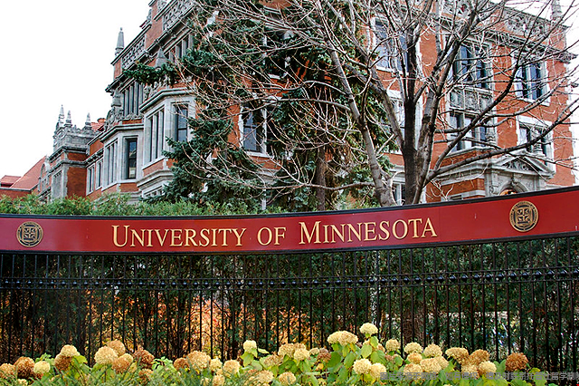 明尼蘇達大學.png