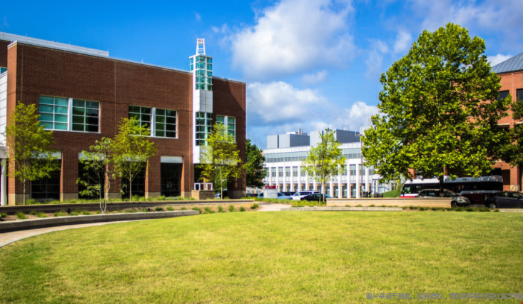 美國大學