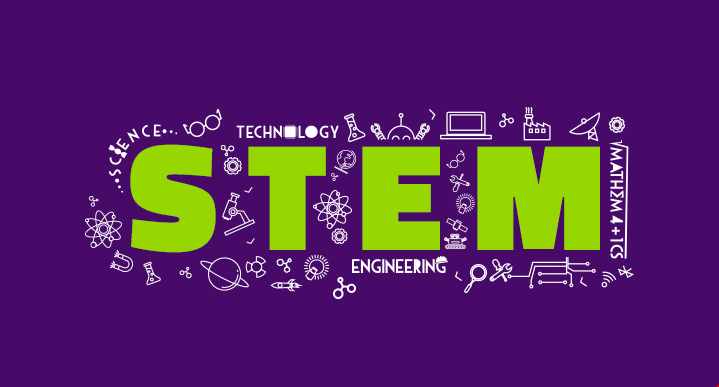 stem4.png