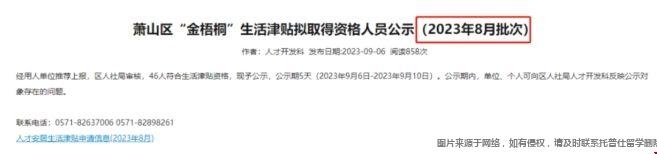 金梧桐.png