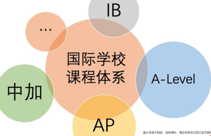 國際課程.png