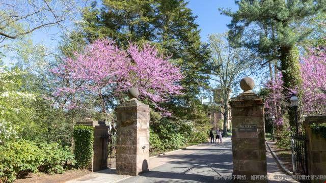 普林斯頓大學(xué)牛嗎
