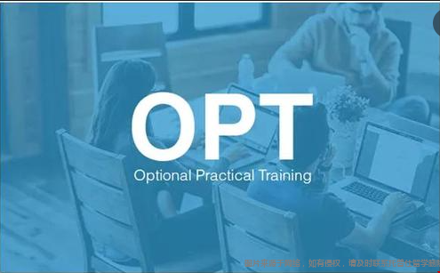 opt.png