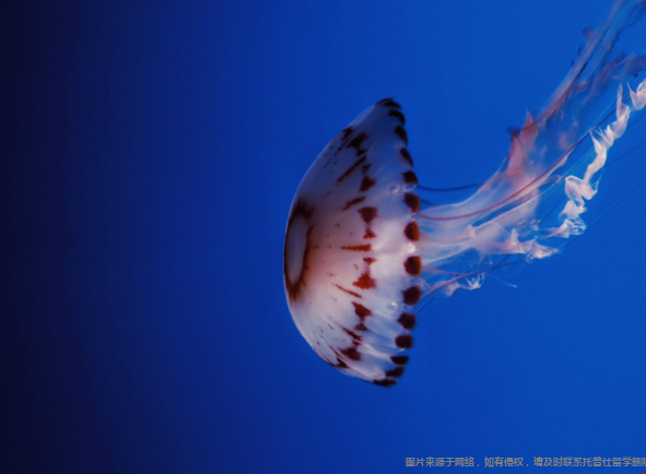 美國最佳海洋生物學學院