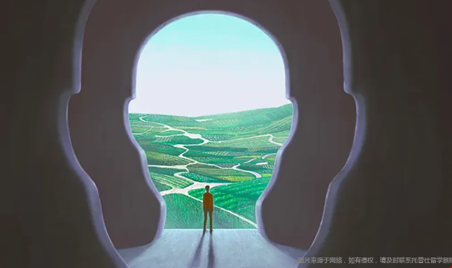 咨詢美國本科心理學申請