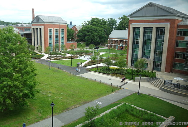 uconn大學世界排名