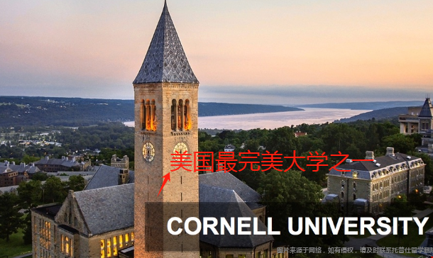 cornell大學是什么大學.png