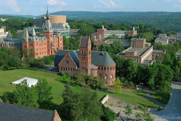 cornell大學世界排名