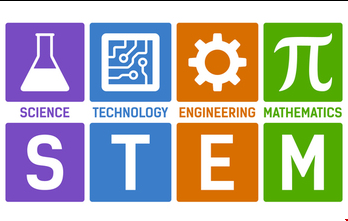 stem2.png
