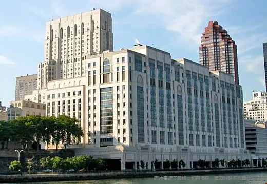康奈爾大學(xué)和紐約大學(xué)對(duì)比