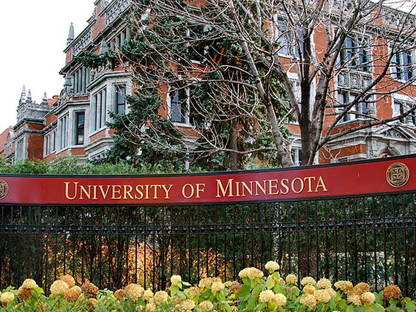 university of minnesota排名QS情況.jpeg
