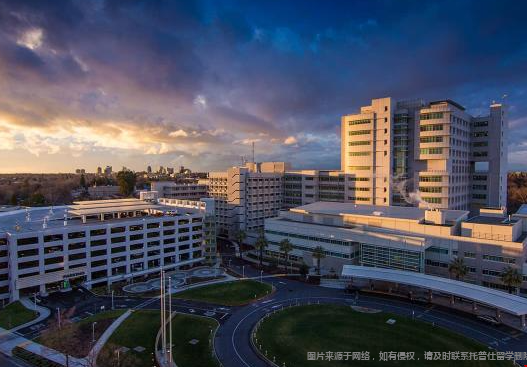 加州戴維斯分校屬于什么檔次