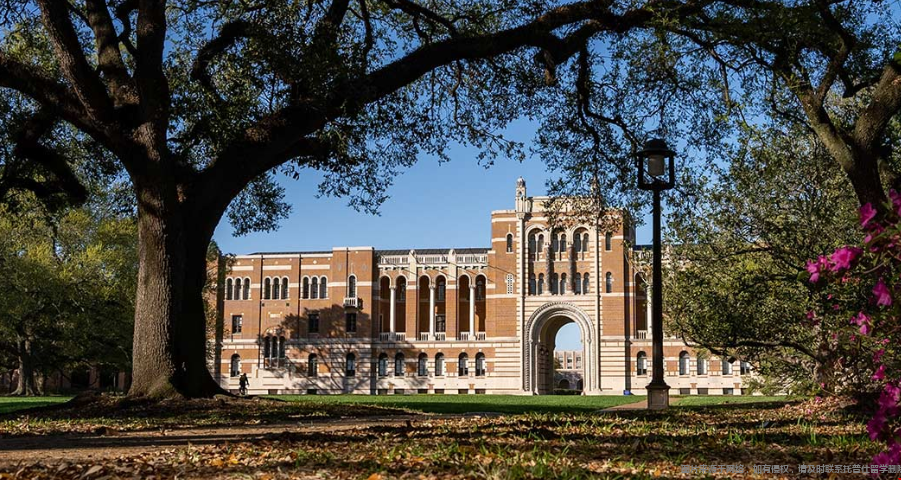rice university QS排名.png