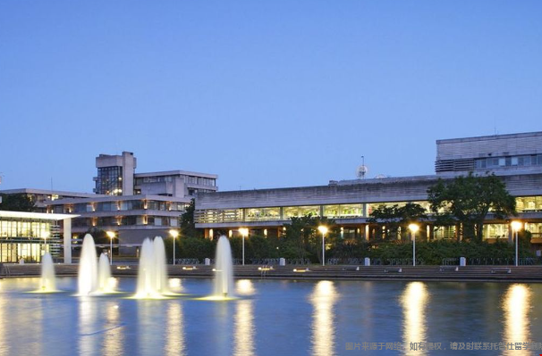UCD本科錄取條件