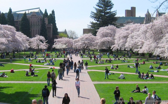UW-Seattle本科錄取趨勢(shì)