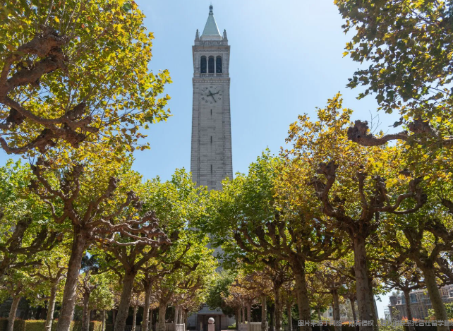 加州大學伯克利qs排名