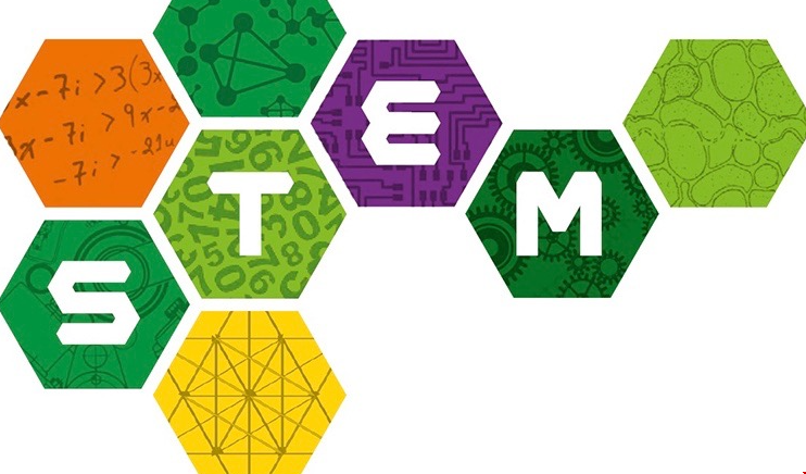 stem3.png