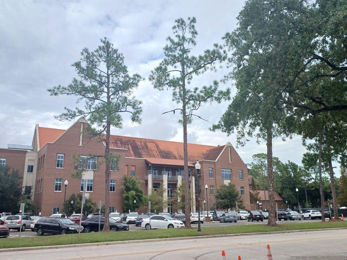 university of florida美國排名.jpg