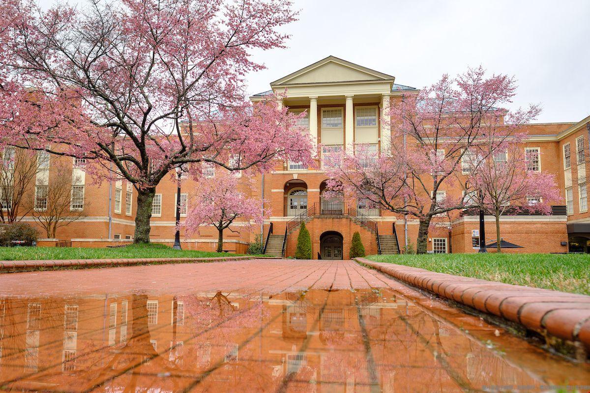 wake forest大學(xué)全球排名.jpg