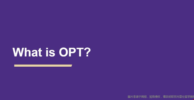 美國OPT是什么意思