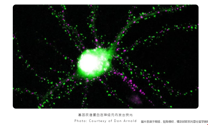 USC研究員有望革新成癮和癲癇治療.png