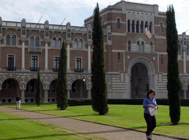 萊斯大學(xué)