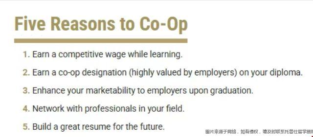 co-op項目優(yōu)勢.png