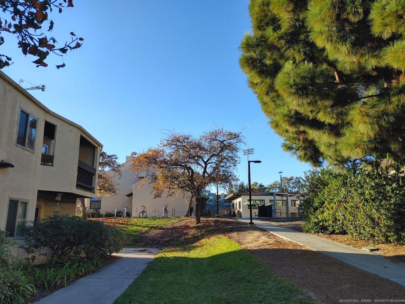 ucsd.jpg